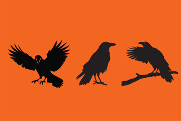 Fototapeta premium crow vector silhouette set 