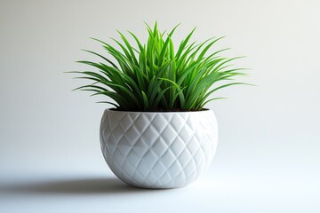 A ceramic pot with a small green plant growing inside, sitting on a table or shelf