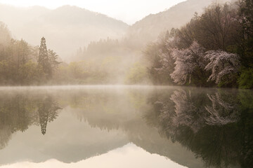 Fototapeta premium A beautiful scenery with reflection and light in the cherry blossom lake