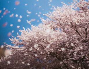 春一番イメージ背景　Generative AI