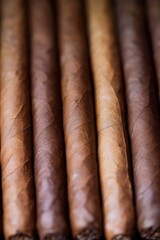A close-up shot of a bundle of cigars