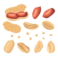 Set peanuts in shell, peeled peanut halves, crushed peanuts. For design projects, food packaging, advertising, or creating educational materials, ideal for use in food-related branding