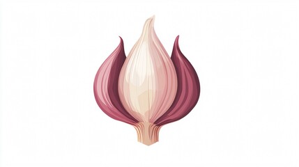 Garlic Clove Vector Isolated Illustration for Culinary Designs