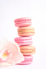 Pink and Beige Macarons and an orchid flower. Photo aesthetics