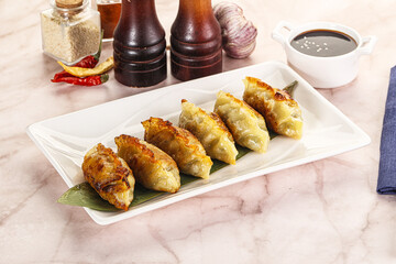 Fried Japanese stuffed dumplings - Gyoza