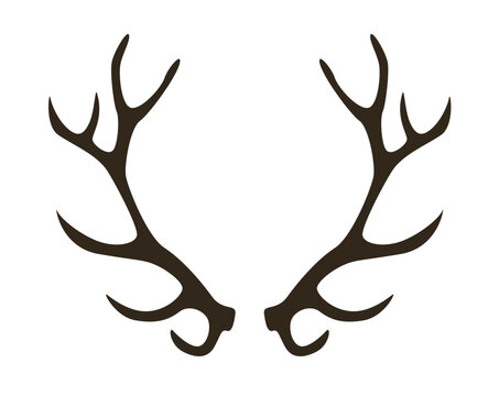 Geweih, Hirsch, Reh, Outdoor - Vektor