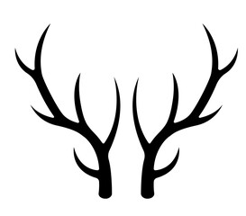 Geweih, Hirsch, Reh, Outdoor - Vektor