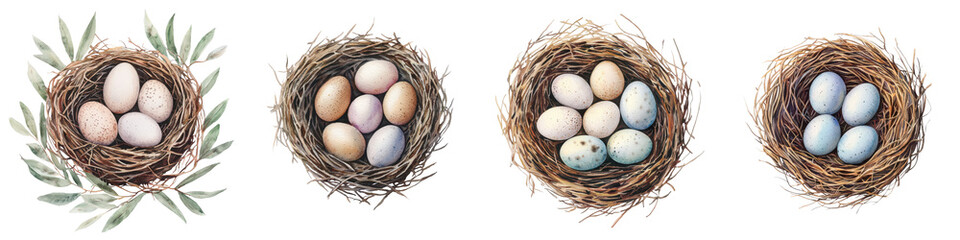 Obraz premium Close up view of an assortment of natural bird nests each containing a variety of colorful speckled eggs set against a backdrop of lush foliage and natural elements in an outdoor woodland environment