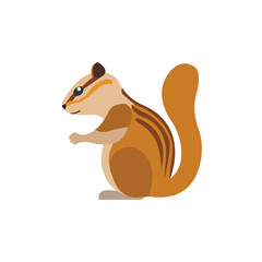chipmunk animal vector illustration