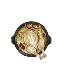 Watercolor Samgyetang - Korean Ginseng Chicken Soup Illustration