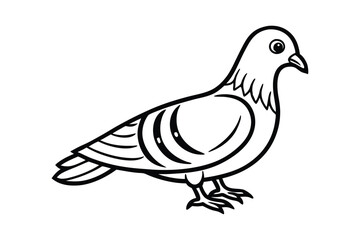 A cute Dove hand drawing clean line art illustration.eps