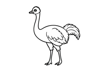 A cute Emu hand drawing clean line art illustration.eps