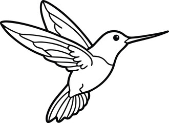 A cute hummingbird  hand drawing clean line art illustration.eps