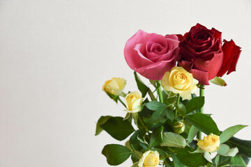 カラフルなばら