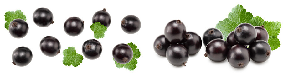 black currant with green leaf isolated on white background. clipping path