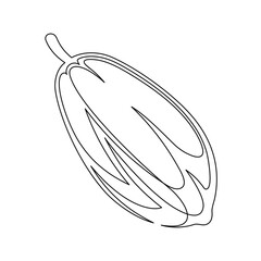 Cacao beans plant line isolated on white background