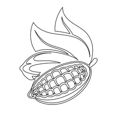 Cacao beans branch with leaves line