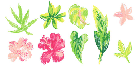 Clip art of bright tropical flowers and plants drawn with wax crayons on white isolated background. Children's botany collection of oil pastel illustrations. 
