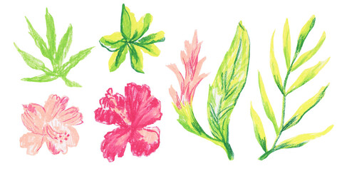 Clip art of bright tropical flowers and plants drawn with wax crayons on white isolated background. Children's botany collection of oil pastel illustrations. 