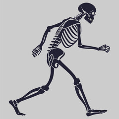 Fototapeta premium human skeleton silhouette vector design art and illustration