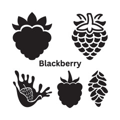 A black and white illustration of a blackberry (8)_traced