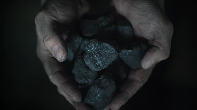 The miner shows the coal in his overworked, coal-dirty hands
