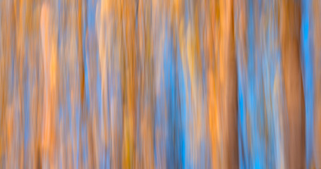 image is a blurry, abstract painting of trees with a blue and orange background. The colors and brushstrokes create a sense of movement and energy, as if the trees are swaying in the wind