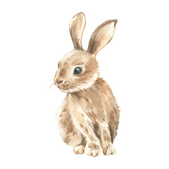 Watercolor hand drawn rabbit isolated on white background. Cute brown bunny. Element for Easter decor design