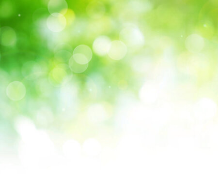 Green bokeh background blur. Beautiful blurry green nature background. 