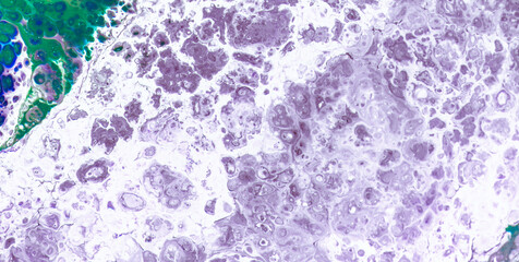 Free-Flowing Colors in Liquid Art with an Ethereal Touch