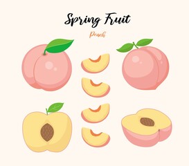 Peach pulp and slices illustration
