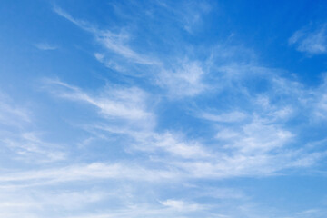 Fototapeta premium sky is blue and clear with no clouds