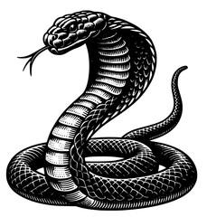 Fototapeta premium Cobra