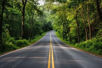 Empty asphalt road winding through a vibrant green forest, inviting exploration and adventure