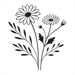 Stunning Daisy Flower Clipart for Design Purposes