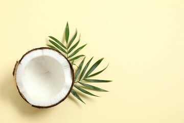 Coconut on color background, top view