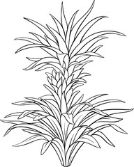 Pineapple Plant with  Leaves Outline Illustration