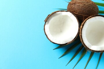 Coconut on color background, top view