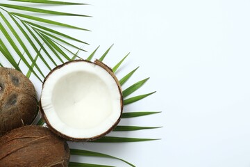 Coconut on white background, top view
