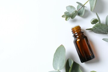 Eucalyptus essential oil in a glass bottle with green eucalyptus leaves on a white background. Aromatherapy concept. Spa. Natural organic ingredients for cosmetics and body care.