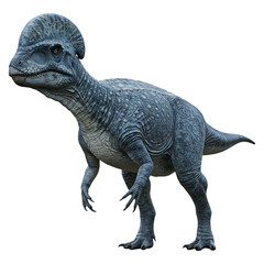 Obraz premium Pachycephalosaurus Dinosaur