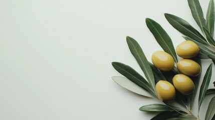 Fresh green olives on olive branch against light background for mediterranean cuisine
