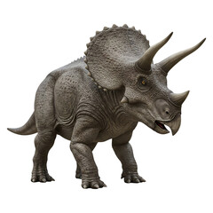 Obraz premium Triceratops Dinosaur