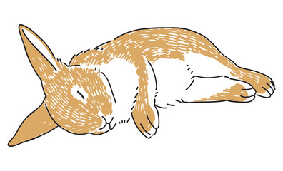 眠っているうさぎの手描きイラスト