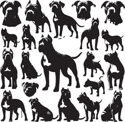 Pitbull dog vector illustration in black and white