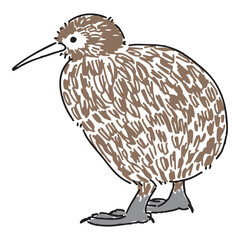 キーウィの手描きイラスト
