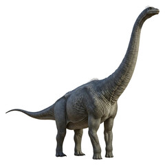 Obraz premium Sauropod Dinosaur