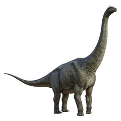 Obraz premium Sauropod Dinosaur