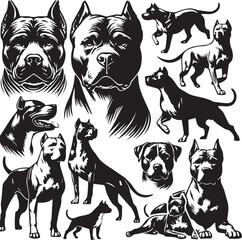 Pitbull dog vector illustration in black and white