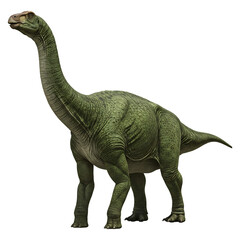 Obraz premium Sauropod Dinosaur